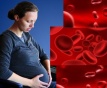 Норма общего анализа крови во время беременности. Гемоглобин, тромбоциты, гематокрит, эритроциты и лейкоциты при беременности. Клинический анализ крови во время беременности. Гематологические изменения при беременности.
