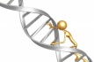 50 фактов про ДНК в честь дня ДНК!