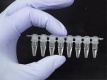Анализ спермы на вирус герпеса thumbnail