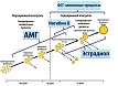 Антимюллеров гормон, последние научные публикации