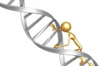 50 фактов про ДНК в честь дня ДНК!