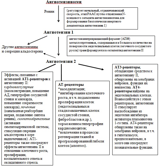 схема РААС картинка.jpg