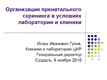 Организация пренатального скрининга в условиях лаборатории и клиники Организация пренатального скрининга в условиях лаборатории и клиники